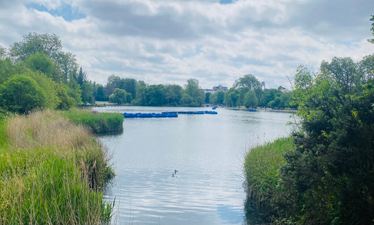 Where I Write in London #3 Regent's Park