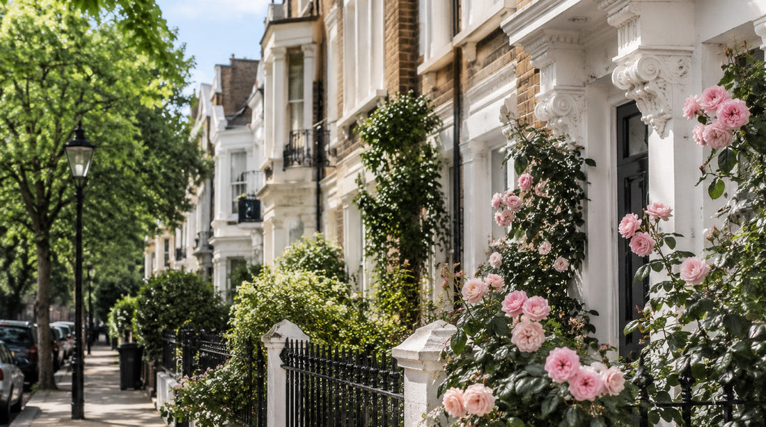 Where I Write in London #5 Belsize Park